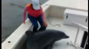 Заиграващ се делфин изненадващо скача в движеща се рибарска лодка !