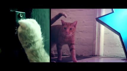 Ed Sheeran - Drunk [official Video]
