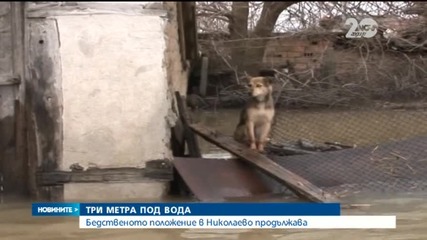 Спешна евакуация в Нова махала, селото е под три метра вода