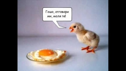 Супер Смешни Снимки