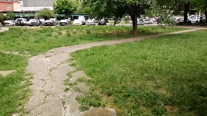 Vid_20200529_140617