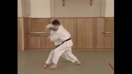 Йошикан Айкидо / Yoshikan Aikido - всички основни техники - Йонка - джо {част6} 