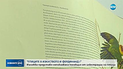 Изложба представя непоказвана колекция от илюстрации на птици