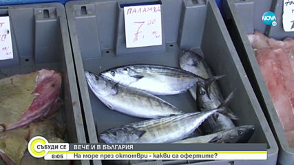 На море през октомври - какви са офертите?