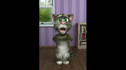 смях с котката Tom 2