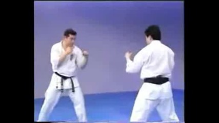 Kyokushin Karate Encyclopedia (iko1 - Matsui 8 Dan ) - 12