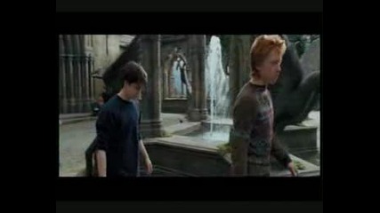 Hermione And Harry 4ever