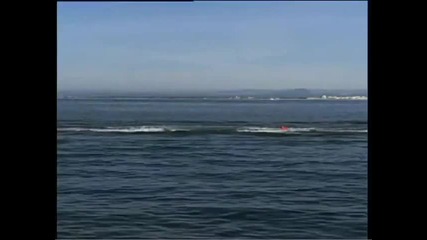 Пазете морето чисто! 