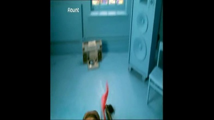Cutback Feat. Federal - Rock to the rhythm ( H Q ) 