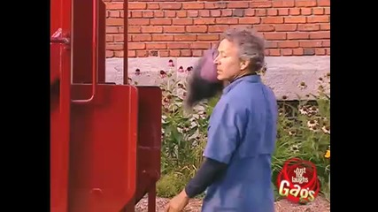 Искате ли куче - Скрита камера