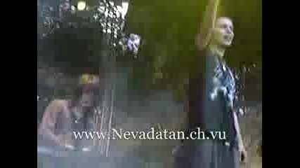 Nevada Tan Live Halberg Openair