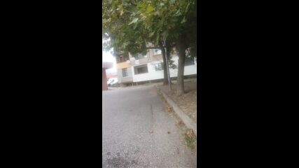Vid_20230823_161433.mp4
