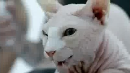 Lady Gaga - Bad Romance Official Video Final Version ( Hq ) 2009 
