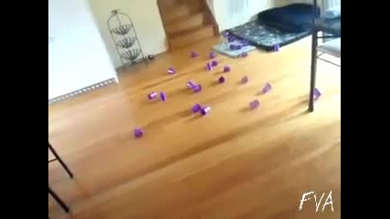 Брей котките мразeли лазери... С М Я Х