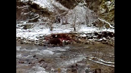 ловни страсти с Рекси 2