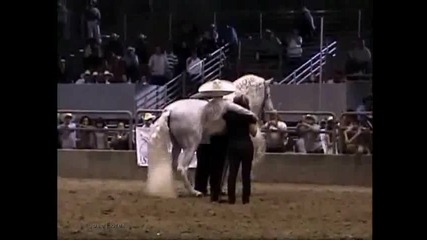 El Molinete de Ezequiel Pena en la Feria del Caballo Espanol