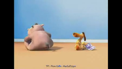 Hippo fart annoys dog