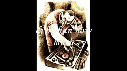 Dj Berkan - How Much