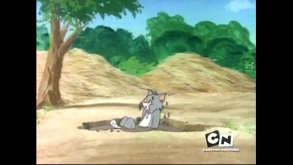 Tom And Jerry - 39 - Jerrys Nephew