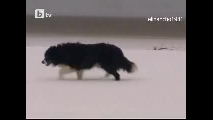 Невиждани снеговалежи!