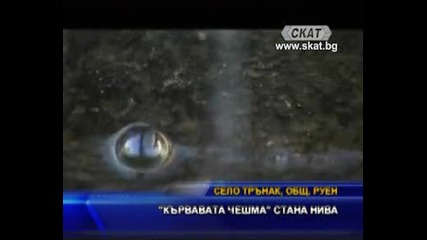 Кървавата Чешма стана нива