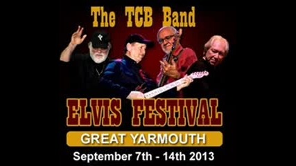Ork_elvis_band_kuchek_oro_way_20