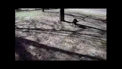 Странно или Какво С01е04 Част 2