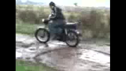 Lud Sus Simson (busmanci) 7
