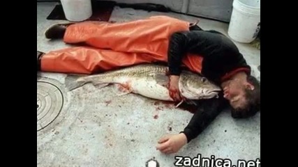супер доза смях до скъсване