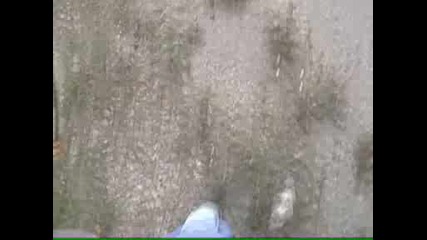 Slow crash.avi