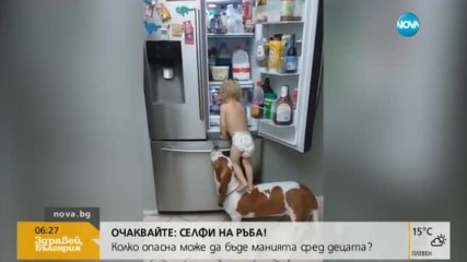 Защо кучето е най-добрият приятел на човека?