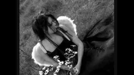 Falling In Love 