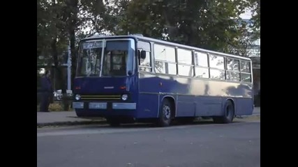 Ikarus Buses 1 