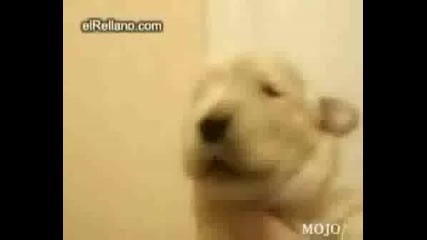 Qkoooooooooooooo 