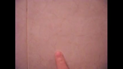 Kus 