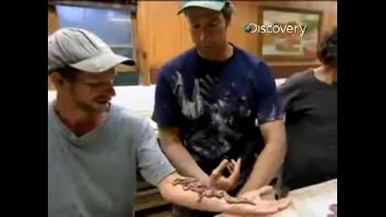 Dirty Jobs / Blood Worms