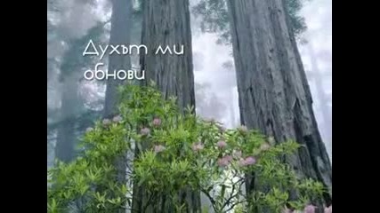 Силата на любовта