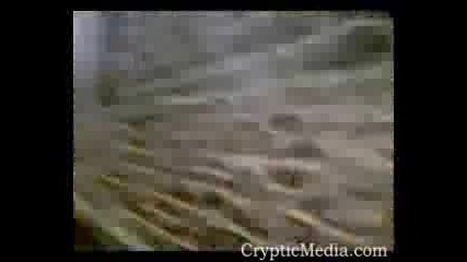 Ghost Girl Appears In Churchyard
