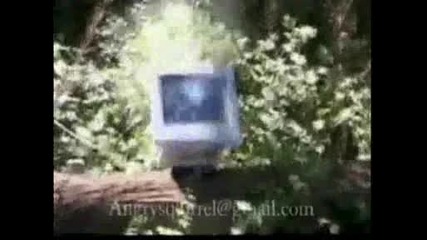 Monitor Vs Sniper
