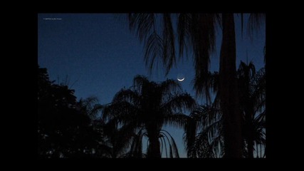 The Night Is Young