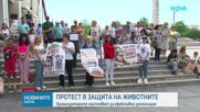 Протест в защита на животните в Бургас