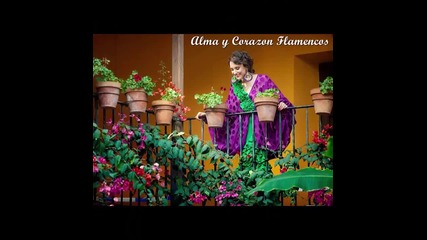 Rosco-alma y Corazon Flamencos