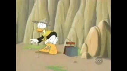 Donald Duck - 2000 - Survival Of The Woodc