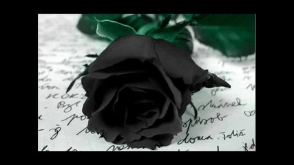 Dark - This Falling Veil 
