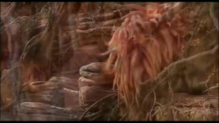 Styx - Castle Walls - Dark Crystal