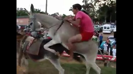 Супер надпревара с неочакван край - :)