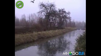 Патици на лед 