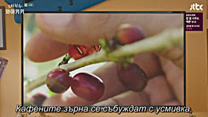 Welcome to Waikiki E14 / Добре Дошли В Уайкики Е14
