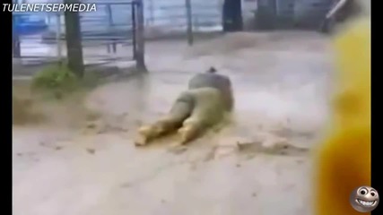 Fail компилация 2014 - гарантиран 100 % смях - част 14