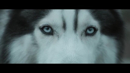 Hardwell feat. Jonathan Mendelsohn - Echo ( Official Music Video )